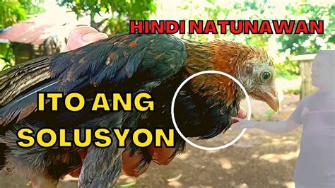 Hindi Natunawan: Simpleng .